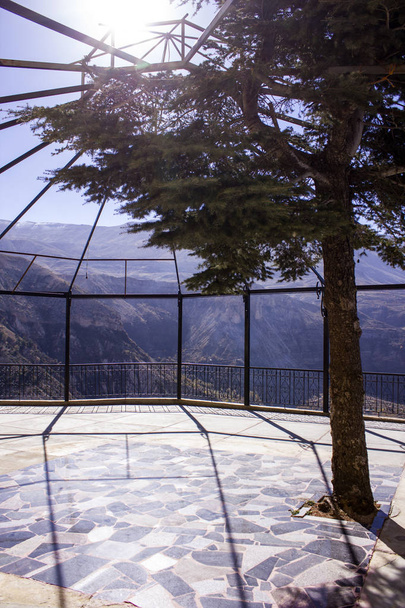 Кедр на оглядовий майданчик в горах Лівану з видом на долину Qadisha в області Bcharre. Уаді долини, Ліван - Фото, зображення