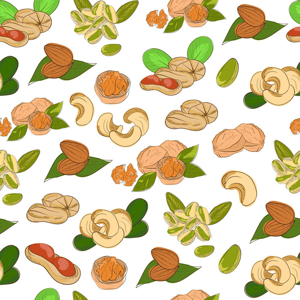 Nuts. Background, wallpaper, texture. Seamless. Pistachios, walnuts, cashews, almonds. Sketch - Vector, Image