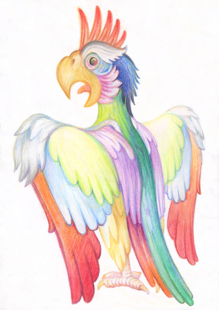 鉛筆画します。子供のための図。色鉛筆で動物のイメージ。明るい華やかなオウム、翼をぱたぱた. - 写真・画像