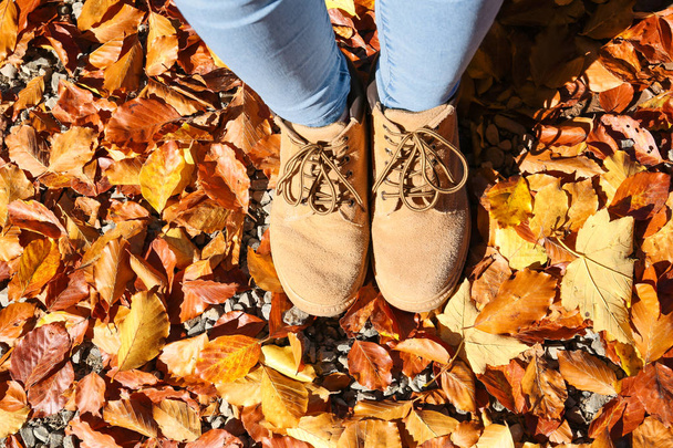 Woman standing on ground covered with fallen autumn leaves, top view - Photo, Image