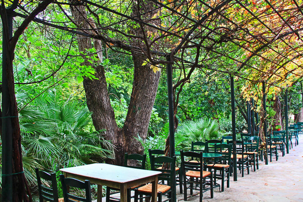 Tavoli e sedie lungo il lato di un marciapiede coperto pergolato in un caffè nel Giardino Nazionale di Atene, Grecia
. - Foto, immagini