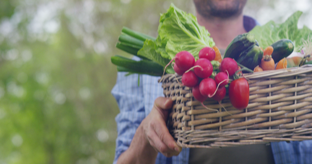 βίντεο του όμορφου αγρότη στην ύπαιθρο δείχνοντας καλάθι με λαχανικά συγκομιδής  - Πλάνα, βίντεο