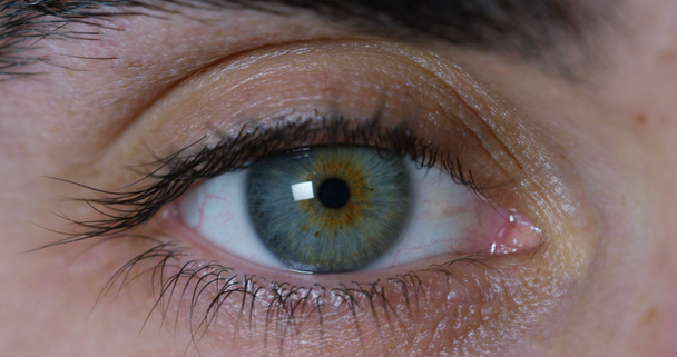 macro oeil bleu parfait dans un environnement stérile et vision parfaite dans la résolution 6k, concept, la vision de l'avenir et concept de vie saine. vue précise et directe vers la cible
. - Séquence, vidéo