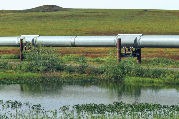 Widok z Trans-Alaska Pipeline całej tundry w Alaska, Stany Zjednoczone Ameryki - Zdjęcie, obraz