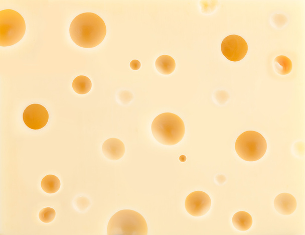 Fondo de queso con agujeros
 - Foto, Imagen