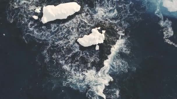 Icebergs among Antarctica ocean. Top down shot. - Footage, Video