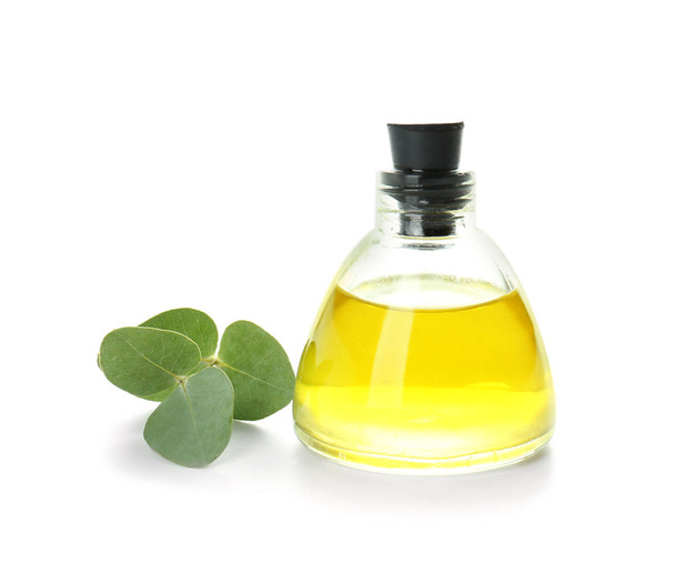Garrafa de óleo essencial de eucalipto sobre fundo branco
 - Foto, Imagem