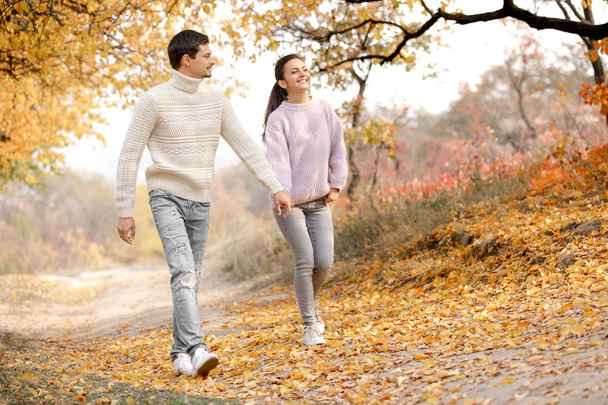 Couple in love in the autumn leaves - 写真・画像