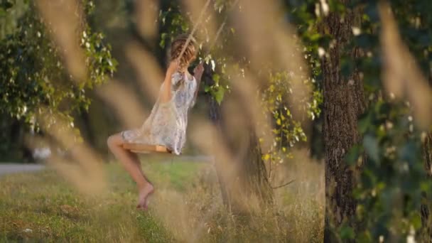 Roztomilá dívka na houpačce si užívat letního dne při západu slunce - Záběry, video