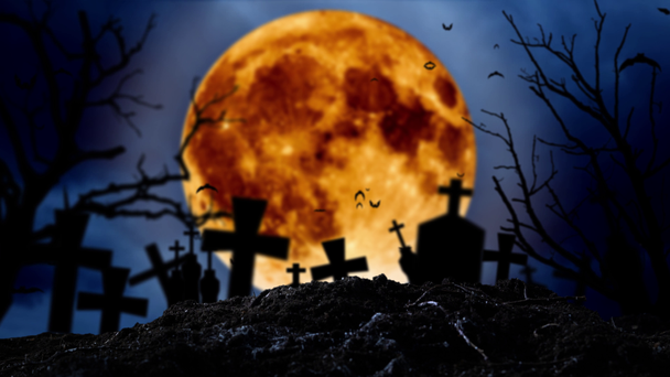 Księżyc świeci na cmentarzu gdzie znajdują się krzyże i nietoperze lecą - Materiał filmowy, wideo