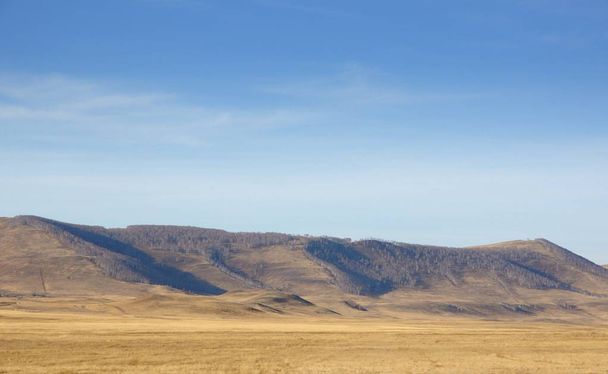 Paisaje otoñal con suaves colinas cubiertas de hierba amarilla seca bajo el cielo azul en Khakassia, Rusia
 - Foto, imagen