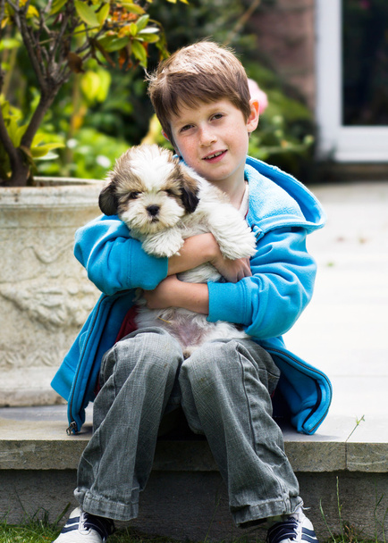 lhasa apso yavru köpek tutan genç çocuk - Fotoğraf, Görsel