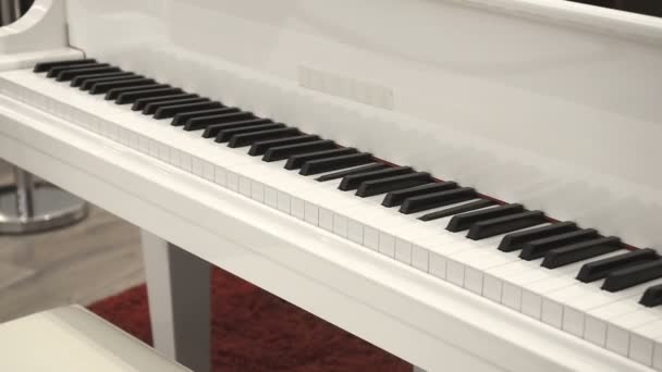 Self-Playing White Piano Without Pianist (en inglés). Tocando el piano. Vista de ángulo lateral de primer plano
 - Imágenes, Vídeo