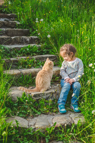 portrait of cute little girl with cat - Photo, Image