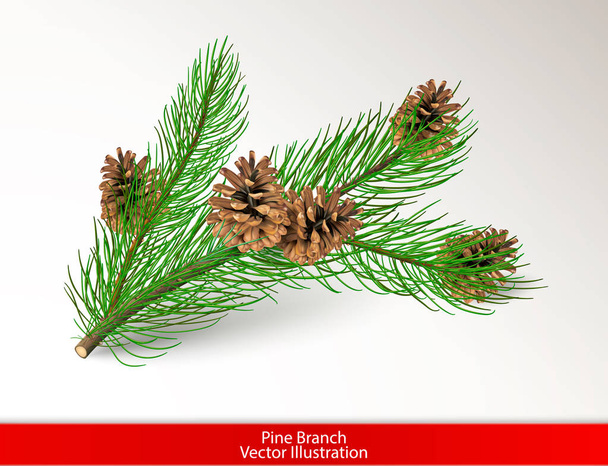 Ramo di pino verde realistico con coni marroni isolati su sfondo bianco. Oggetto per il design. Illustrazione vettoriale
. - Vettoriali, immagini