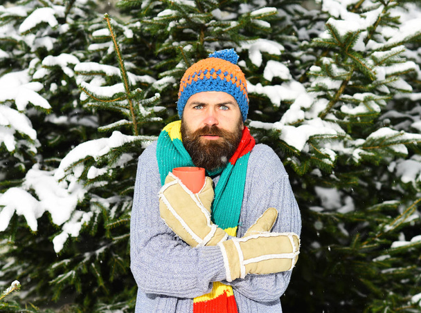 Man wears knitted hat, scarf and warm gloves. - Photo, Image