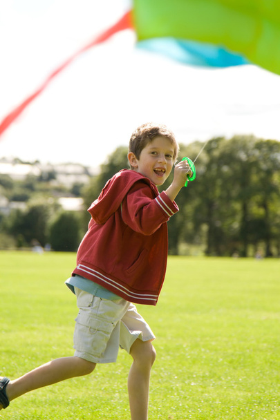Boy flying a kite - 写真・画像