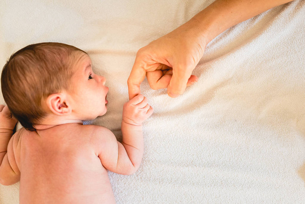 Bebé recién nacido agarrando con seguridad las manos de su madre, dedos de cerca
. - Foto, imagen