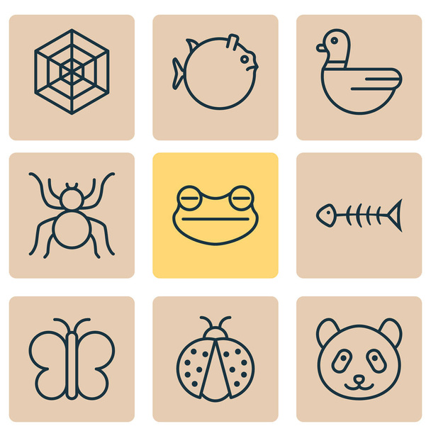Conjunto de iconos de la naturaleza con tela de araña, hueso de pez, rana y otros elementos de araña. Iconos de naturaleza de ilustración vectorial aislada
. - Vector, Imagen
