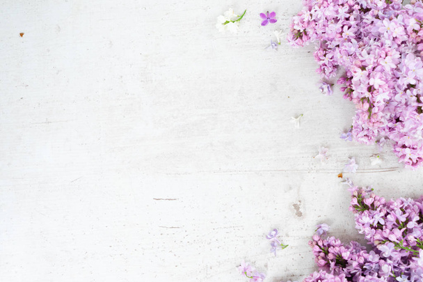 Fresh lilac flowers - Photo, image