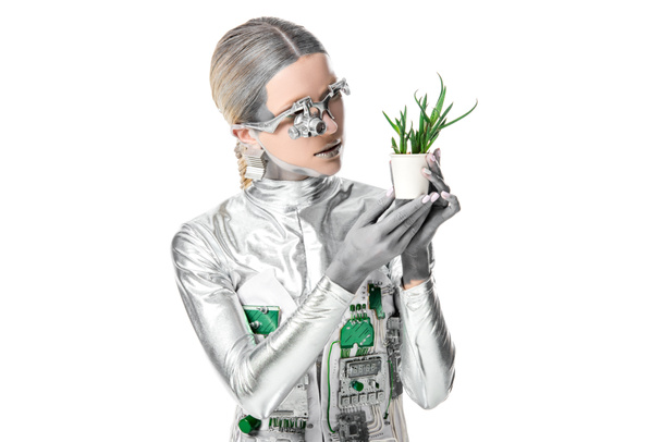 Silberroboter betrachtet Topfpflanze isoliert auf weißem, zukünftigem Technologiekonzept - Foto, Bild