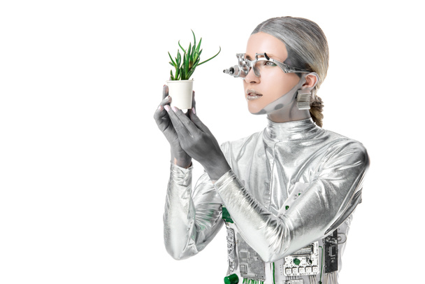 silver robot with eye prosthesis looking at potted plant isolated on white, future technology concept - Foto, immagini