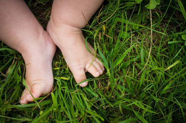 Baby legs in the grass. Crumbs on lawn. - Foto, imagen