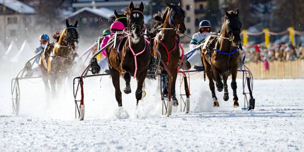 χειμώνα ιπποδρομία - Ελβετίας - Φωτογραφία, εικόνα