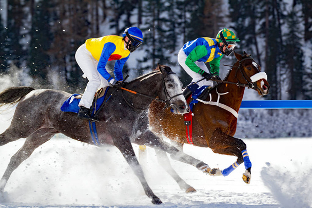 冬競馬 - スイス - 写真・画像
