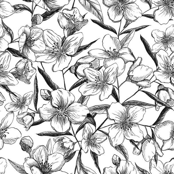 Modèle sans couture de fleurs de jasmin sur fond noir. Dessin au crayon. Conception pour textiles
 - Photo, image