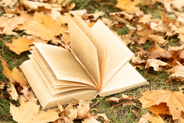 Opened book with dry autumn leafs - Fotoğraf, Görsel
