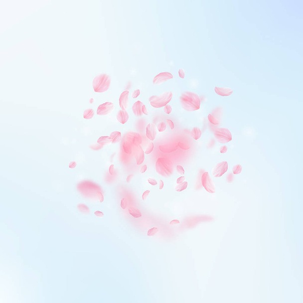 Sakura petals falling down. Romantic pink flowers  - Vector, afbeelding