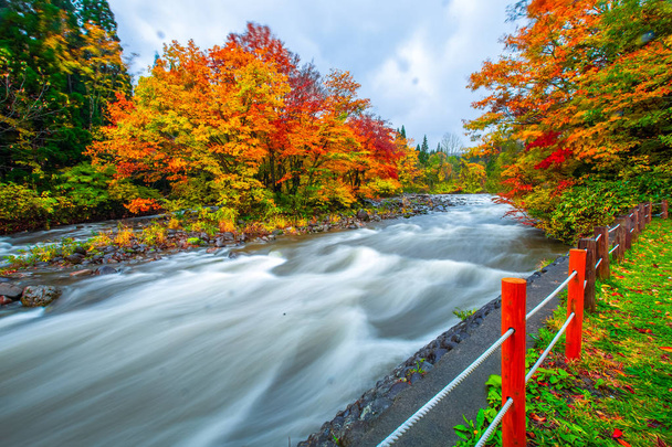 Hojas cambio de color Hermosa cascada En el otoño hojas En Yamagata Japón
 - Foto, Imagen