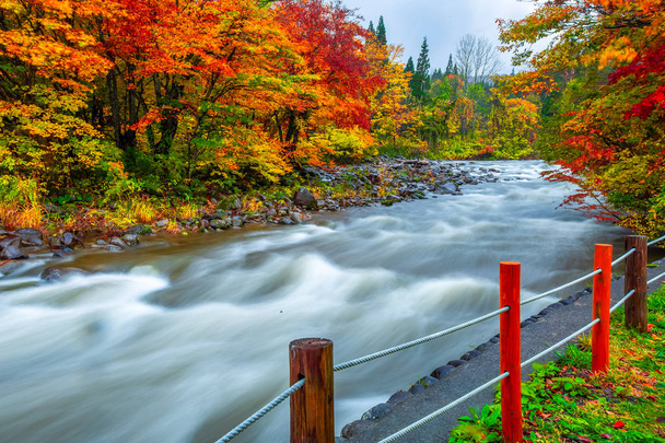 Hojas cambio de color Hermosa cascada En el otoño hojas En Yamagata Japón
 - Foto, imagen