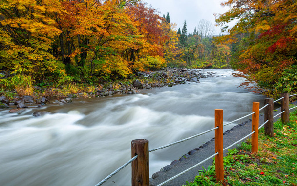 Změna barvy listí krásný vodopád na podzim listy Jamagata v Japonsku - Fotografie, Obrázek