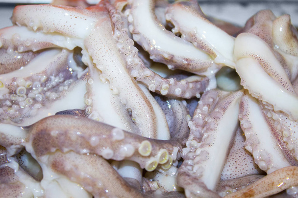 squid octopus tentakels zeevruchten - Foto, afbeelding