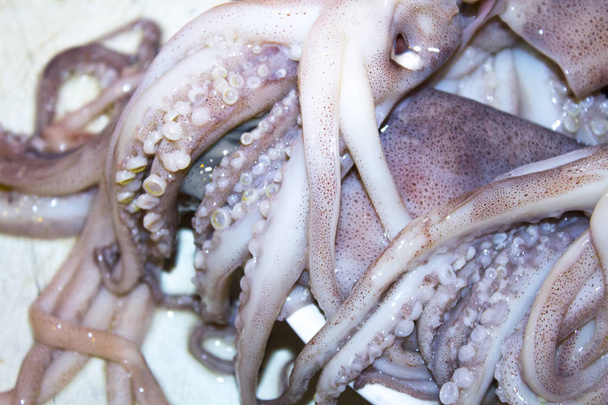 Mořské plody chapadla chobotnice chobotnice - Fotografie, Obrázek