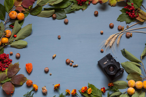 Осенний фон желтый и красный листья ягод фрукты орехи падают - Фото, изображение