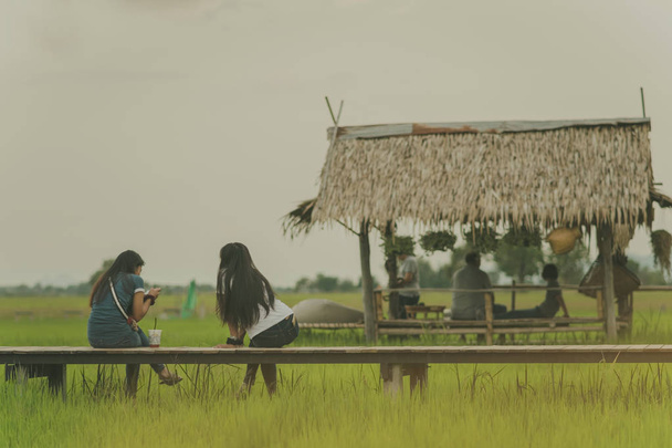 Азіатські люди розслабитися і фотозйомку на дерев'яний міст у рисовій сфері у вечорі - Фото, зображення