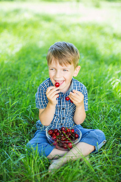 Cute smiling little boy sitting on the green grass with plate of cherry. - Photo, Image