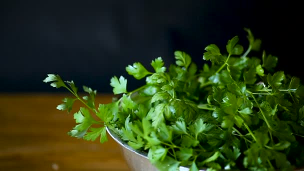 fresh green parsley on a black background - Video
