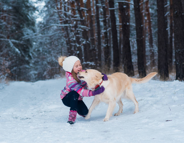冬の散歩にゴールデン ・ リトリーバーと遊ぶ若い女の子. - 写真・画像