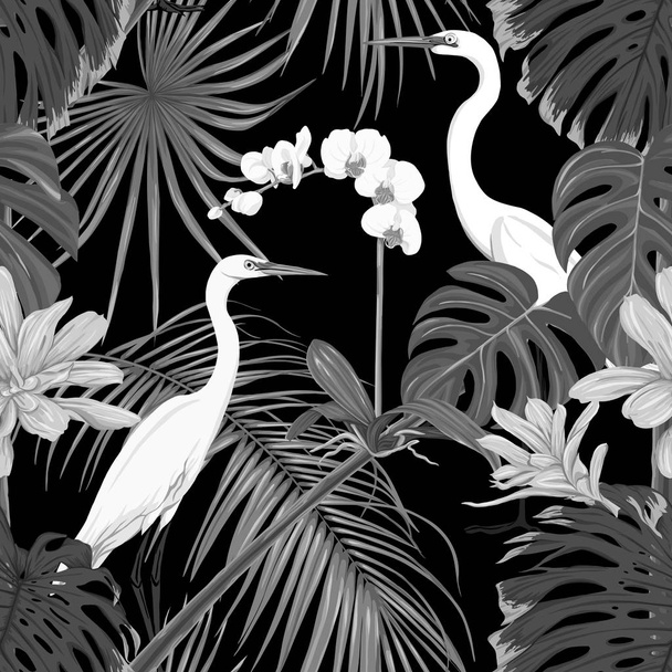 Modello senza cuciture, sfondo. con piante tropicali e fiori con orchidea bianca e uccelli tropicali. Illustrazione vettoriale. In colori grigio monocromatici
 - Vettoriali, immagini