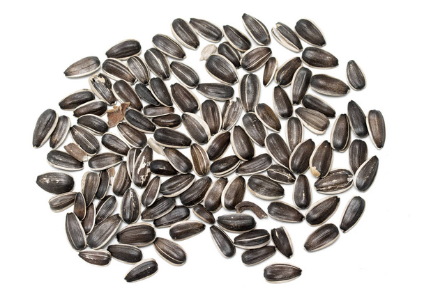 sementes de girassol cinza isolado no fundo branco
 - Foto, Imagem
