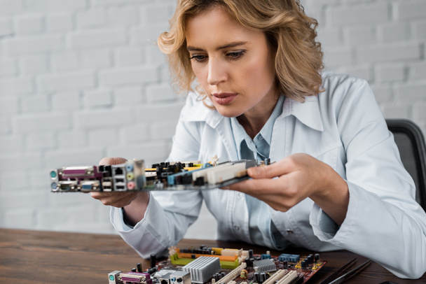 concentrated female computer engineer holding motherboard - Photo, Image