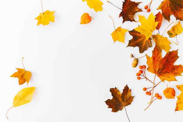 top view of autumn background, flat lay with autumn leaves and branches isolated on white - Φωτογραφία, εικόνα