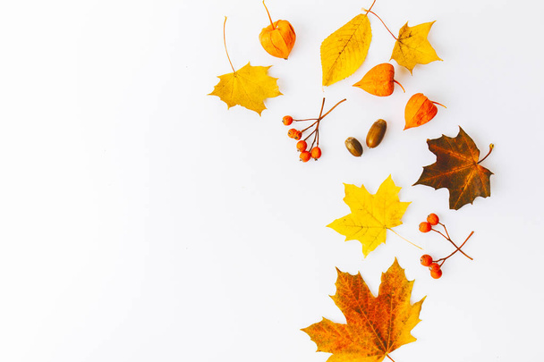 top view of autumn background, flat lay with autumn leaves and branches isolated on white - Foto, afbeelding