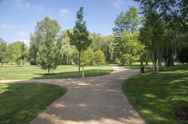 Public park during summer, green nature, trees shadows, greenery, wooden bench - Fotó, kép