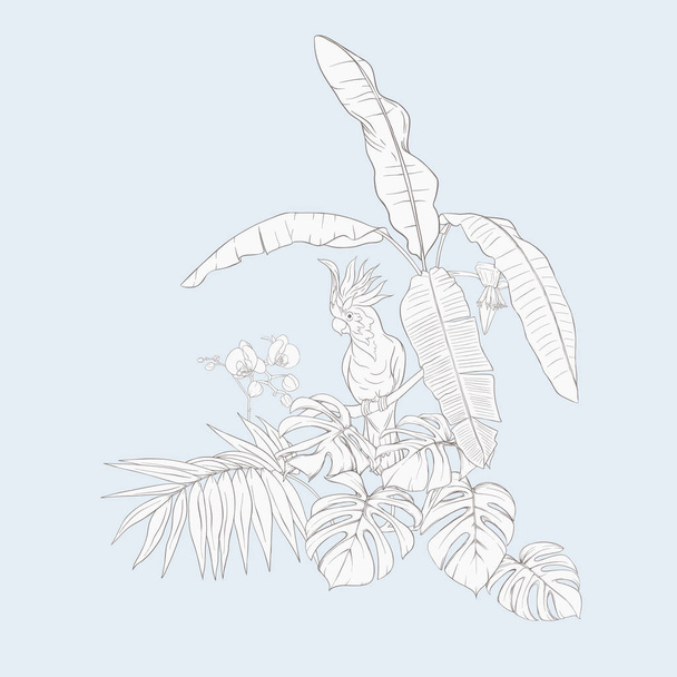 A composition of tropical plants, palm leaves, monsters and white orchids with cockatoo parrot In botanical style. Outline hand drawing vector illustration.  In vintage blue and beige colors. - Vettoriali, immagini
