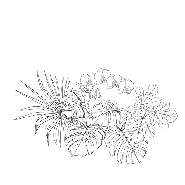 A composition of tropical plants, palm leaves, monsters and white orchids In botanical style. Outline hand drawing vector illustration. Isolated on white background. - Вектор,изображение